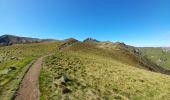 Tour Wandern Chambon-sur-Lac - col de la Croix Morand - Le Sancy - Capucin - La Bourboule - Photo 16