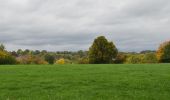 Excursión Senderismo Verviers - 20221017 - Lambermont 6.2 Km - Photo 10