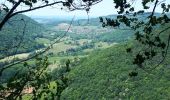 Randonnée Marche Arbois - la reculée des planches arbous - Photo 3