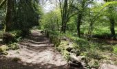 Trail Walking Limerzel - GRP_Lanvaux_AI_09_Limerzel_Berric_20210528 - Photo 4