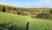 Excursión Senderismo Virton - La Charmouthienne_boucle_Ethe_15km_2019-10-13 - Photo 2