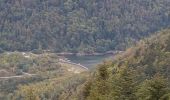 Tour Wandern Sewen - Ballon d'Alsace - Lac d'Alfed et sa cascade - Col du Bonhomme - Ballon d'Alsace - Photo 10