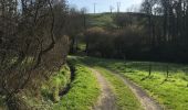 Trail Walking Mauges-sur-Loire - La pommeraye 11 km 500 - Photo 3
