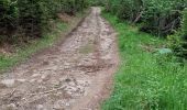 Tour Wandern Theys - PETITE BALADE A PIPAY - Photo 2
