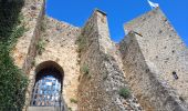 Tour Wandern Saint-Rémy-lès-Chevreuse - Virade de St Remy Parcours jaune - Photo 8