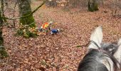 Percorso Equitazione Neufchâteau - Bois de la Fosse - Photo 13