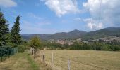 Tour Wandern Sentheim - Marché au marcher 3  - Photo 9