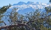 Tour Wandern Faucon-du-Caire - FAUCON DU CAIRE . LE CLASTRE .  SERRE DE MALAMORT COL DU BUISSONNET O L S - Photo 1