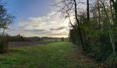 Tour Wandern Anthisnes - Marche ADEPS Villers aux Tours - Photo 13