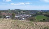 Tocht Stappen Luik - Liège- Nessonvaux - Photo 4