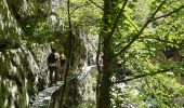 Excursión Senderismo Thuès-Entre-Valls - gorge de la Carança  - Photo 16