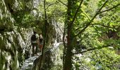 Percorso Marcia Thuès-Entre-Valls - gorge de la Carança  - Photo 16