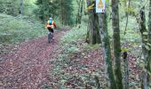 Percorso Mountainbike Courtivron - 10_10_20 - Photo 19