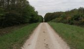 Trail Walking Valloire-sur-Cisse - Chouzy 28.04.21 - Photo 1