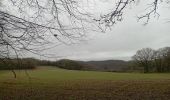 Trail Walking Anhée - maredsous par temps de pluie - Photo 7