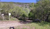 Excursión Senderismo Laveissière - La veissiere Puy de seycheuse - Photo 8