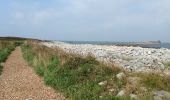 Tocht Stappen Pleumeur-Bodou - île grande - Photo 8