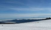 Trail Walking Stosswihr - Les 3 Fours - col de la Schlucht - Photo 4