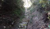 Tour Wandern Teyran - Teyran source acqueduc de Castries  - Photo 6