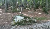 Trail On foot Gemona del Friuli - IT-713 - Photo 5