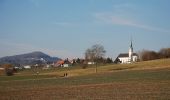 Tour Zu Fuß Berikon - Ober Berikon - Hafnerberg - Photo 1