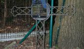 Tocht Te voet Hechtel-Eksel - In den Brand Gele zeshoek - Photo 10