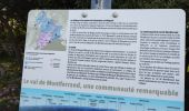 Trail Walking Saint-Mathieu-de-Tréviers - Pic St Loup  - Photo 7