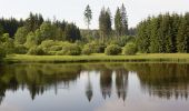 Tour Zu Fuß Geroldsgrün - Floßteichweg DÖ 90 - Photo 3