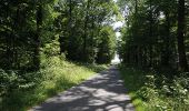 Trail Walking Sivry-Rance - Rance - Circuit Natura 2000, des sites qui valent le détour - Ht09 - Photo 1