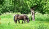 Randonnée A pied Laboe - Schwanenroute - Photo 3