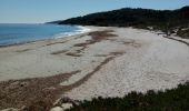 Tour Wandern Saint-Tropez - St Tropez_ Le sentier littoral - Photo 12