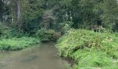 Tocht Stappen Huldenberg - Huldenberg Terlanen site naturel Lasne - Photo 17