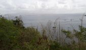 Randonnée Marche Les Trois-Îlets - l'Anse a l'Ane- l'anse-ravine al-re en Q - Photo 16