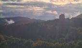 Excursión Senderismo Lembach - Les 3 châteaux - Photo 11