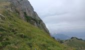 Randonnée Marche Le Grand-Bornand - Aiguille vertr, Lac de Lessy - Photo 11