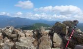 Excursión Senderismo Vezzani - Vezzani Boucle de Razzu Rossu - Photo 2