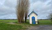 Tocht Stappen Zwevegem - Sint denijs 17 Km  - Photo 6