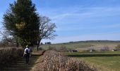 Tocht Stappen Stoumont - 20250309 - TOTEMUS RAHIER - - Photo 11