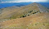 Excursión A pie Gréolières - Montagne du Cheiron - Photo 4