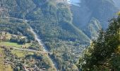 Tocht Stappen Chamonix-Mont-Blanc - 20231012 Chamonix Bois Prin Gaillants - Photo 3