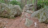 Tocht Stappen Fontainebleau - Bourron-Marlotte sentier Denecourt 11 - Photo 14