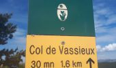 Percorso Marcia Vassieux-en-Vercors - But Saint Genix par les cols de Vassieux, La Chau, les pas de Bouillanain et Florent - Photo 7