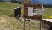 Tocht Stappen Peisey-Nancroix - du haut de transarc, aiguille Grive et descente arc 1800 - Photo 3