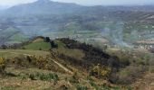 Excursión Senderismo Ainhoa - Errebi boucle depuis carrière Ainhoa  - Photo 9