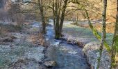 Randonnée Marche Bouillon - Rochehaut 110124 - Photo 3