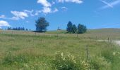 Tour Wandern Bellefontaine - Le Sacré-Cœur, retour par l'Évalude. - Photo 1