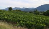 Tocht Stappen Apremont - 20190814 - Lac Saint André - Photo 1