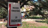 Percorso Marcia Fréjus - Plan de l'Esterel depuis la Maison Forestière du Malpey - Photo 6
