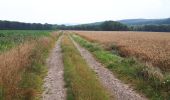 Tocht Stappen Pont-Remy - chemin de hallage et crête.  - Photo 8