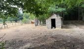 Randonnée Marche Saint-Sauveur-Camprieu - Camprieu col des Ubertes , col du suquet les mon - Photo 10